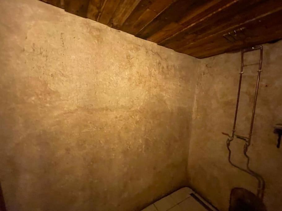 Maison Vigneron - Maison Et Studio Saint-Didier-sur-Beaujeu Dış mekan fotoğraf