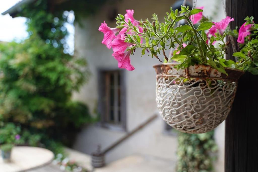 Maison Vigneron - Maison Et Studio Saint-Didier-sur-Beaujeu Dış mekan fotoğraf